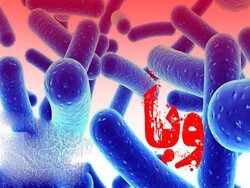 شناسایی یک مورد بیمار مبتلا به «وبا» در ایلام
