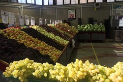 کاهش قیمت ۱۱ قلم میوه در میادین میوه و تره بار تهران + نرخنامه