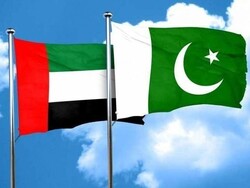عرب امارات نے پاکستانی سرکاری کمپنیوں کے حصص کی خریداری کی پیشکش کردی