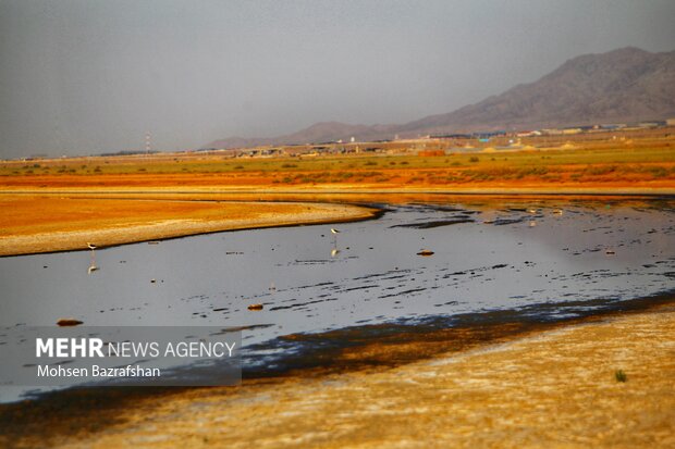 جاری شدن رودخانه جهرم جاری شدن رودخانه جهرم