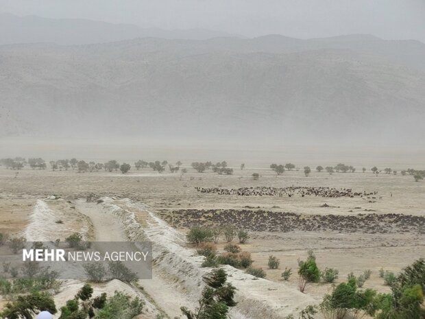 عدم مدیریت منابع آبی بالادست/ روند خشکی تالاب های فارس ادامه دارد