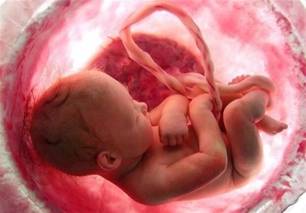 نجات ۱۵ جنین از سقط در خراسان شمالی/ ۷ نوزاد سالم به دنیا آمدند
