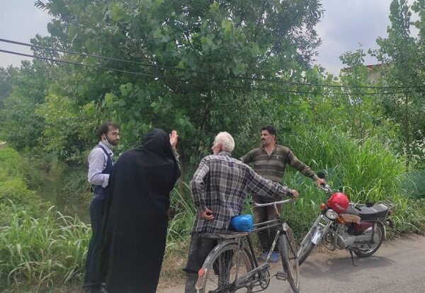 شالیزارهایی که بوی فاضلاب میدهند