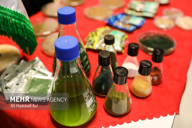 وابستگی شدید به واردات نهاده های دامی چگونه با فناوری حل میشود؟