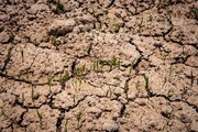 ۶۱۸ روستای لرستان دچار تنش آبی هستند