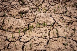 ۲۱۳ روستای مازندران با تنش آبی روبرو هستند