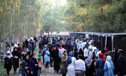 جشنواره ملی «آش و غذاهای سنتی» در نیر برگزار شد