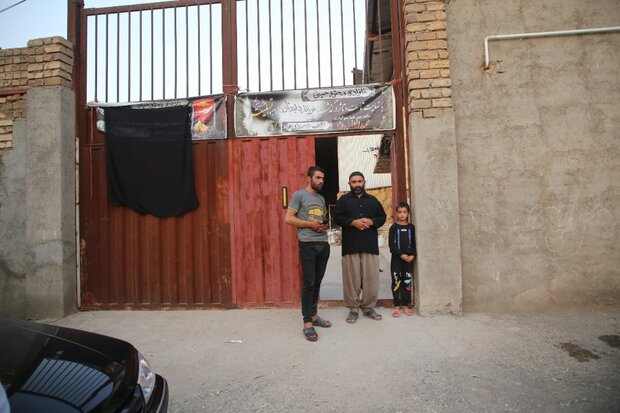 ضرورت جمعآوری سگهای ولگرد در پی جان باختن ۲ کودک در دامشهر قم