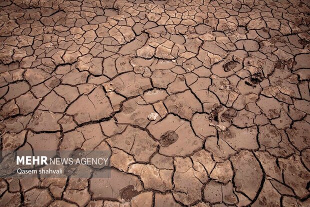 قم وارد مرحله قرمز تنش آبی شد؛ ضرورت تحول در کشاورزی و مدیریت شهری