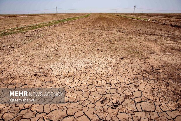 قم وارد مرحله قرمز تنش آبی شد؛ ضرورت تحول در کشاورزی و مدیریت شهری
