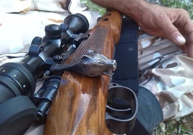 شکارچیان غیرمجاز در شهرستان جیرفت دستگیر شدند
