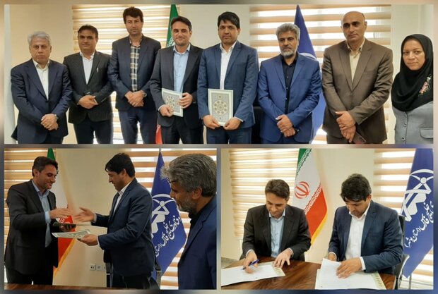 مشاغل دانش بنیان در استان بوشهر تقویت میشود مشاغل دانش بنیان در استان بوشهر تقویت میشود