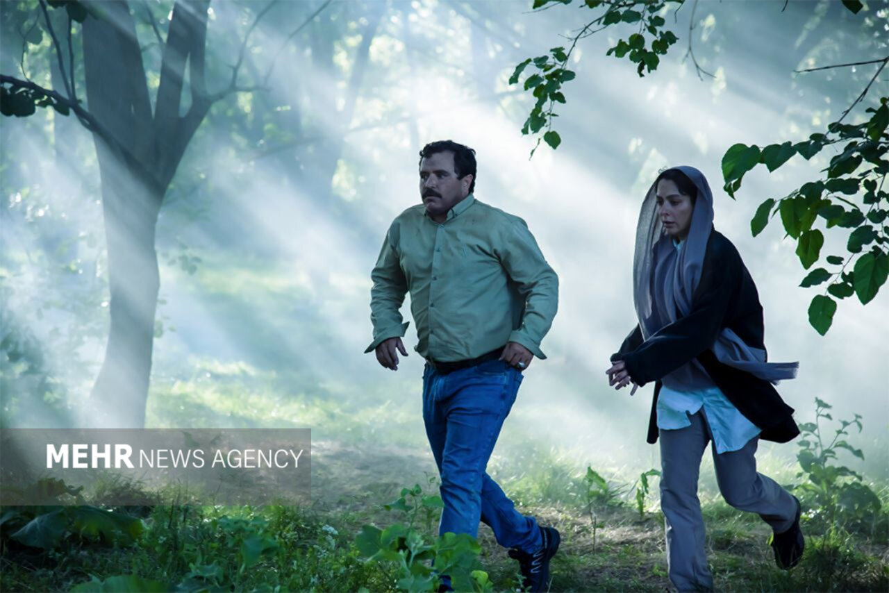 Bir aile, bir ağaç, bir hikaye: "Ağacın kollarında"