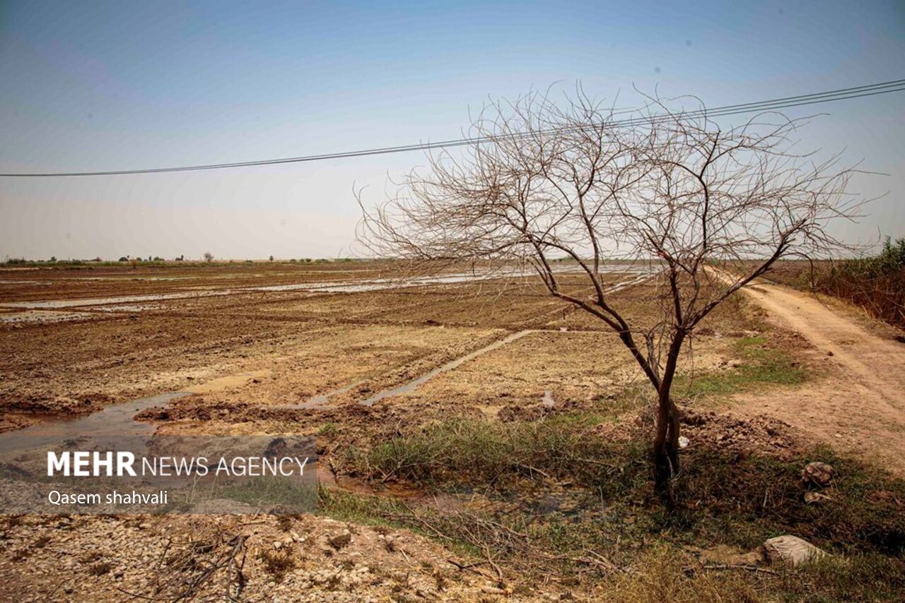 مروری بر وضعیت «آب» در خراسان شمالی/ خشکسالیها خطرناک شده است
