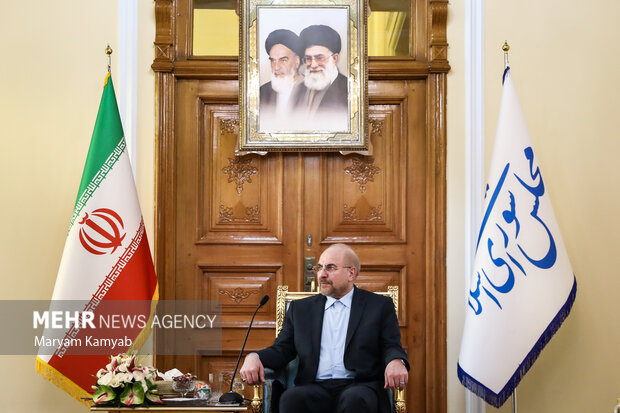 دیدار وزیر امور خارجه آذربایجان با رئیس مجلس شورای اسلامی 11