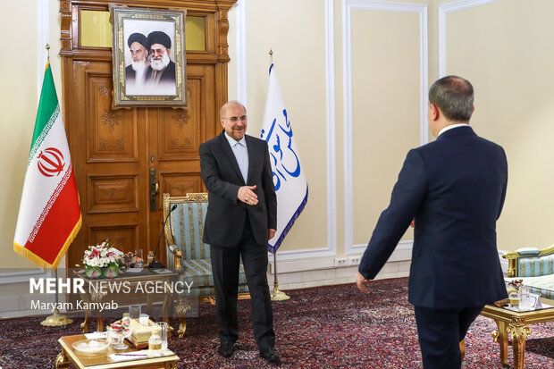 دیدار وزیر امور خارجه آذربایجان با رئیس مجلس شورای اسلامی 5