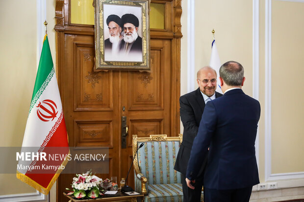 دیدار وزیر امور خارجه آذربایجان با رئیس مجلس شورای اسلامی 6
