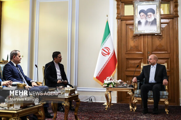 دیدار وزیر امور خارجه آذربایجان با رئیس مجلس شورای اسلامی 8