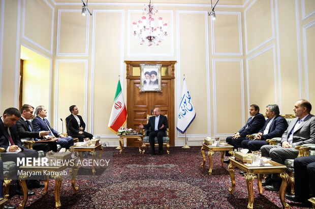 دیدار وزیر امور خارجه آذربایجان با رئیس مجلس شورای اسلامی 9