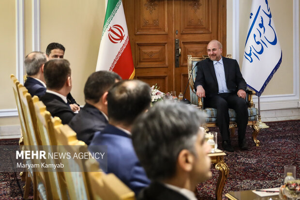 دیدار وزیر امور خارجه آذربایجان با رئیس مجلس شورای اسلامی 10