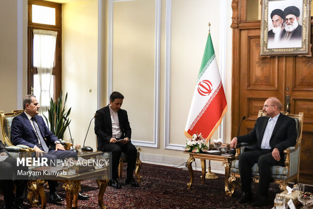 دیدار وزیر امور خارجه آذربایجان با رئیس مجلس شورای اسلامی 16