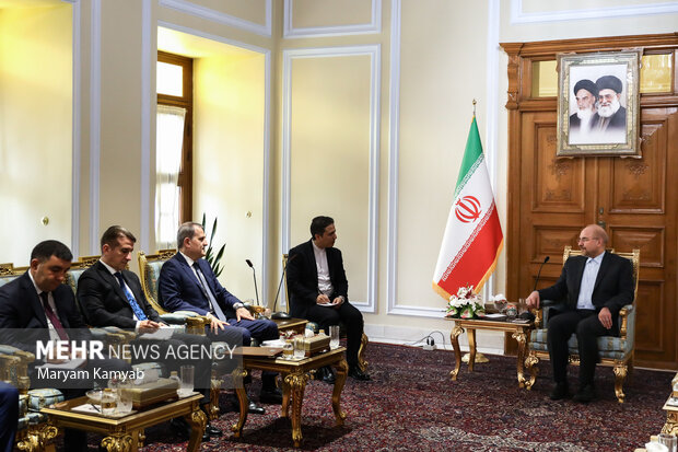 آذربائیجان کے وزیر خارجہ کی ایرانی پارلیمنٹ کے اسپیکر سے ملاقات
