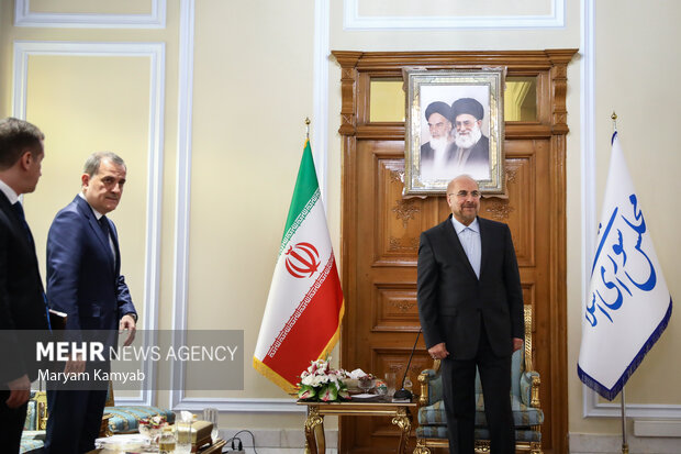 دیدار وزیر امور خارجه آذربایجان با رئیس مجلس شورای اسلامی 3