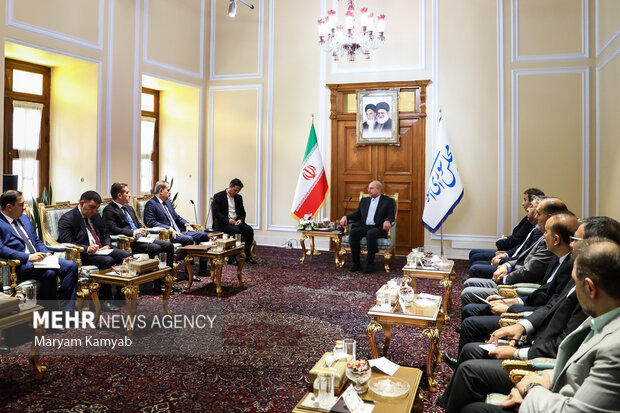دیدار وزیر امور خارجه آذربایجان با رئیس مجلس شورای اسلامی 17