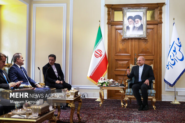 آذربائیجان کے وزیر خارجہ کی ایرانی پارلیمنٹ کے اسپیکر سے ملاقات

