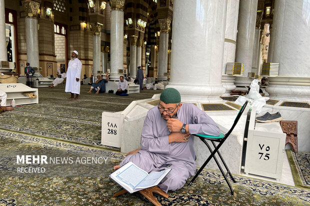 یکی از زائران در حال مناجات خوانی در مسجد النبی (ص) است