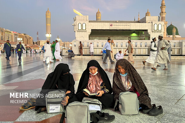 زائران در حال مناجات خانی در مسجد النبی (ص) هستند