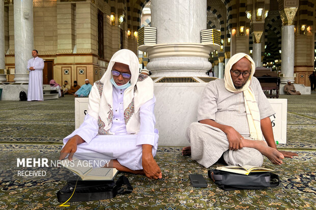 زائران در حال مناجات خوانی در مسجد النبی (ص) هستند