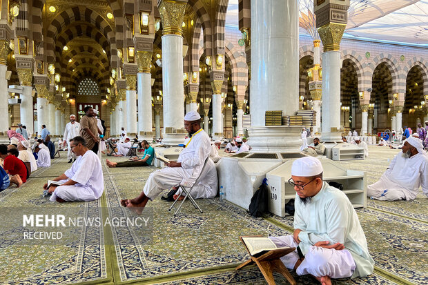 زائران در حال مناجات خوانی در مسجد النبی (ص) هستند