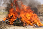 امحای ۶۵۰ کیلوگرم مواد مخدر در اردبیل/ کشف ۴۰۰ کیلوگرم طی سال‌جاری