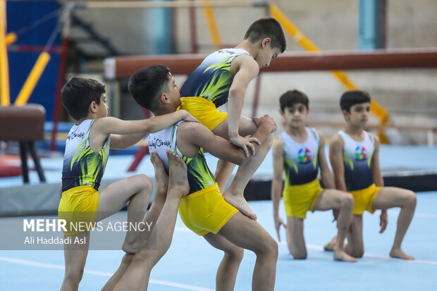 ورزشکاران در حال تمرین در مراسم افتتاح خانه ژیمناستیک شهید آذرپی در فدراسیون ژیمناستیک هستند