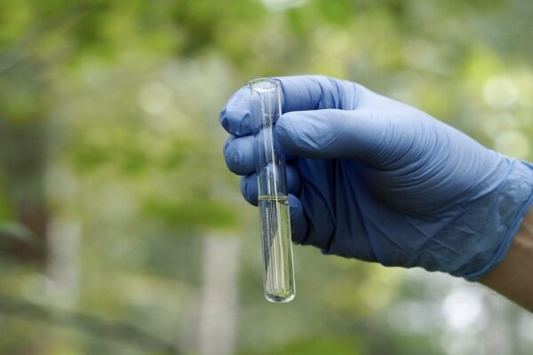 سهم ۱۹ درصدی زنان گیلانی در اقتصاد