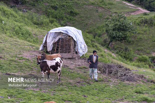İram'ın en güzel yaylası; Olesbelangah Yaylası