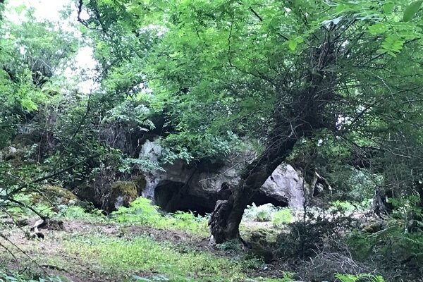 غار طبیعی محل سکونت «عزیز غارنشین» ثبت ملی‌ می‌شود