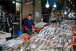 قیمت انواع ماهی پنج‌شنبه شانزدهم تیرماه ۱۴۰۱