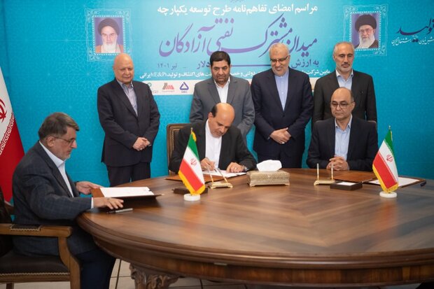 مشارکت ۷ میلیارد دلاری داخلی ها برای توسعه آزادگان