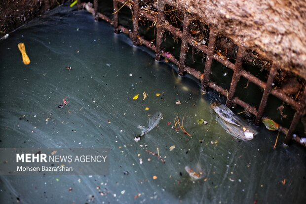 منشا بوی بد چرمشهر اصفهان / شهرک صنعتی همچنان تصفیه فاضلاب ندارد