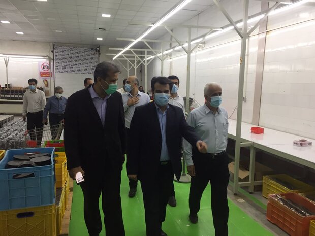 متولیان صنعت و بانکها برای رفع مشکلات صنایع بوشهر همکاری کنند