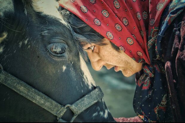 فیلمی ئێرانی "بێ هەموو شتێک" لە سینەماکانی سلێمانی نمایش دەکرێت