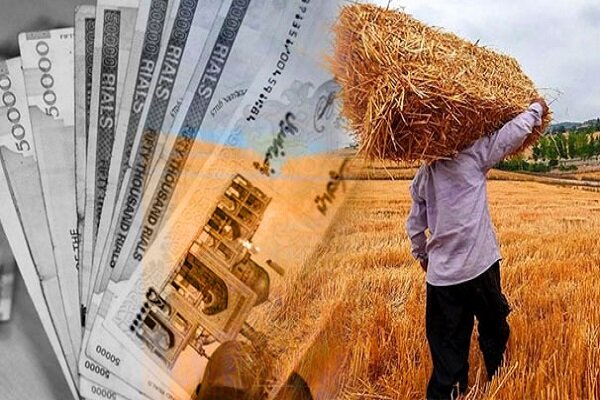 43 میلیارد تومان مطالبات گندمکاران خوزستانی پرداخت نشده است