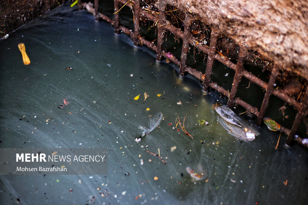 فیروزکوه در انتظار تصفیه خانه فاضلاب/ردیف بودجه تخصیص یافت