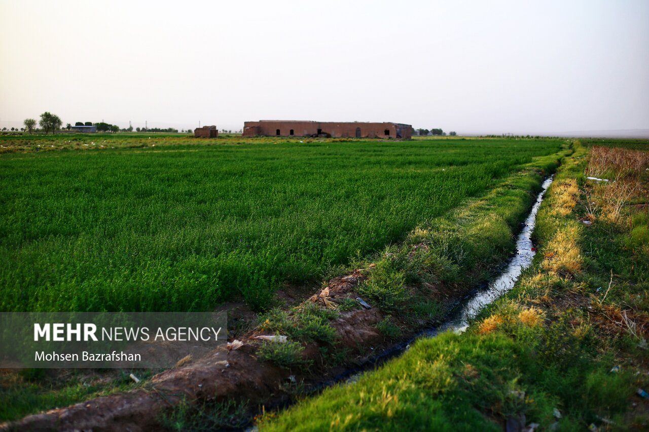 آبیاری برخی مزارع آذربایجان غربی با پساب/دستگاه قضا ورود کند
