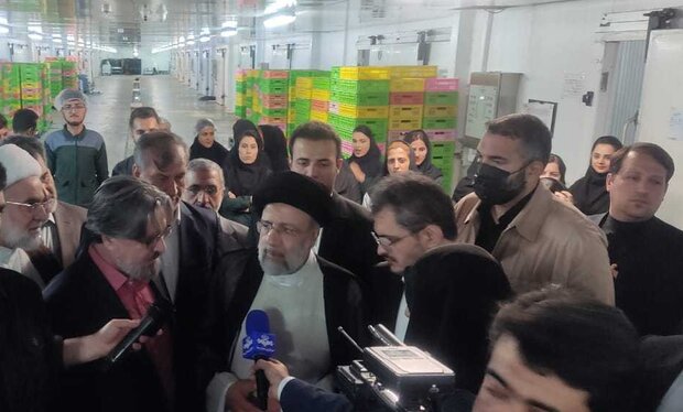 آغاز طرحهای توسعهای شرکت قارچ سروآباد آغاز طرحهای توسعهای شرکت قارچ سروآباد