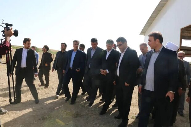 بازدید وزیر جهاد کشاورزی از روند اجرای گاوداری ۱۰۰۰ رأسی دیواندره بازدید وزیر جهاد کشاورزی از روند اجرای گاوداری ۱۰۰۰ رأسی دیواندره