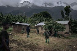 17 killed as armed grroup attacks NE Congo
