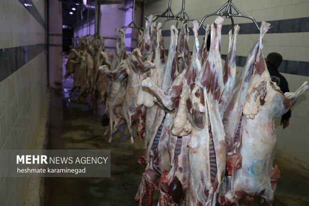 ذبح دام در مکان‌های عمومی انجام نشود